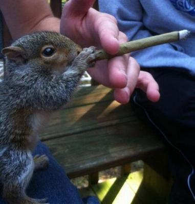 Прикрепленное изображение: prikolnullnaa_fotopodborka_65.jpg